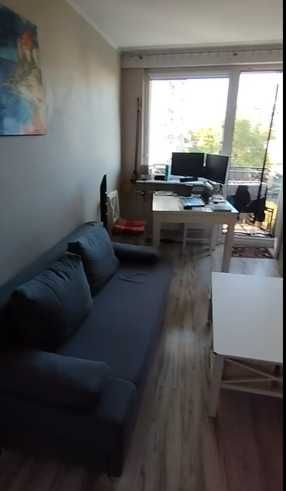 Zdjęcie 7