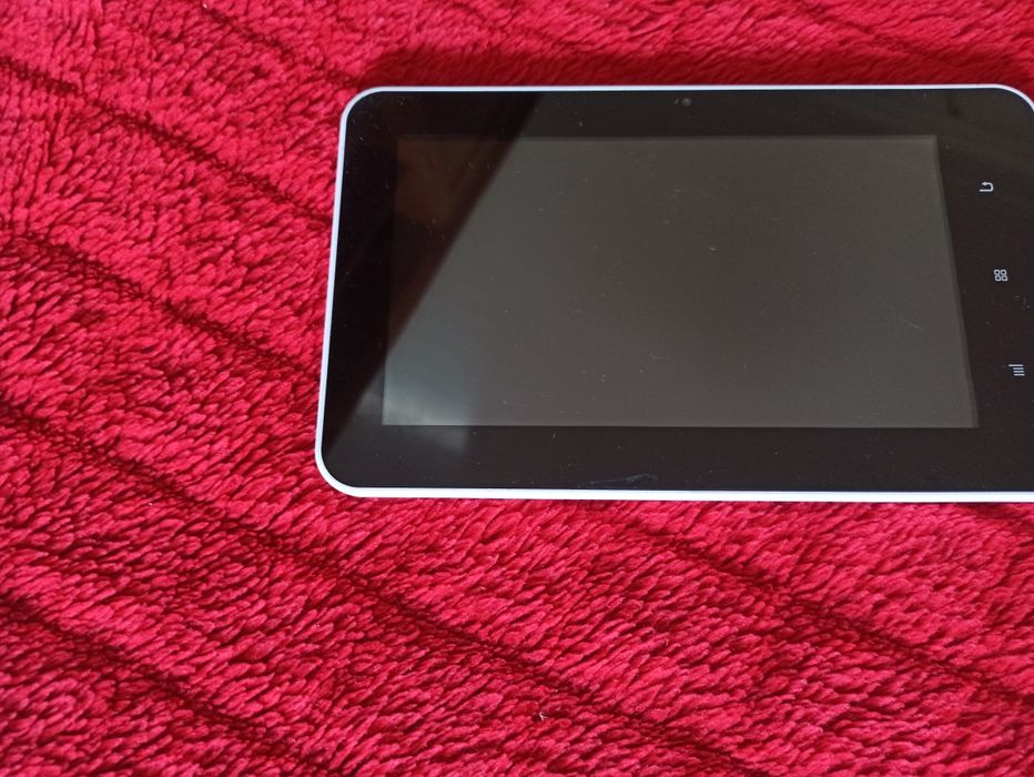 Troco por casal de canários