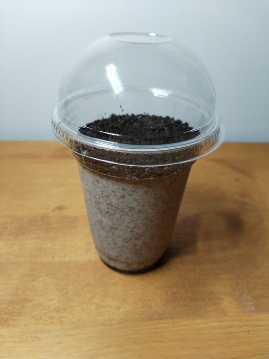 Copos plástico para sobremesa com tampa tipo cúpula sem furo 300ml