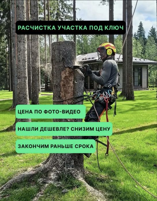 Расчистка участков, Покос травы, Спил деревьев , Уборка участка