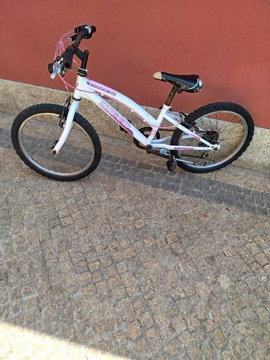 Bicicleta roda 20
