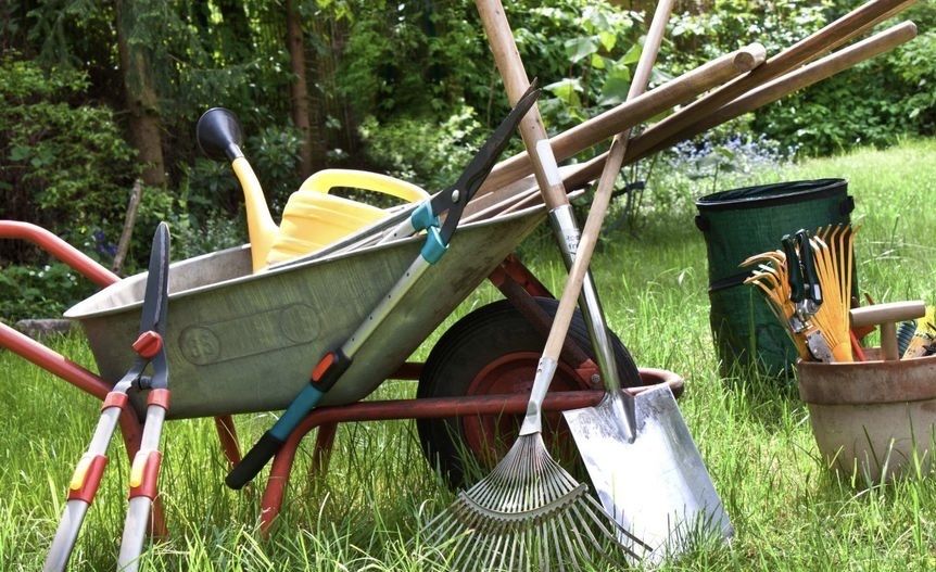 Прибирання території догляд за садом Колонщина Миколаївка Бузова