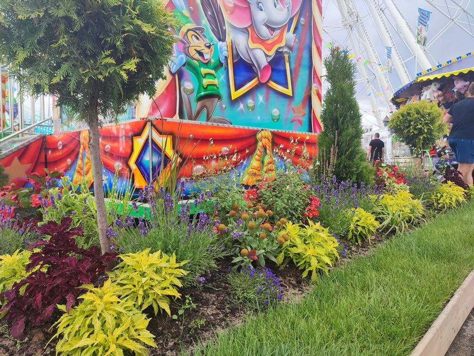 Projekt ogrodu wraz z realizacją