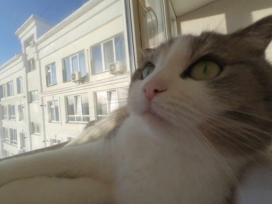 Екшен камера YI