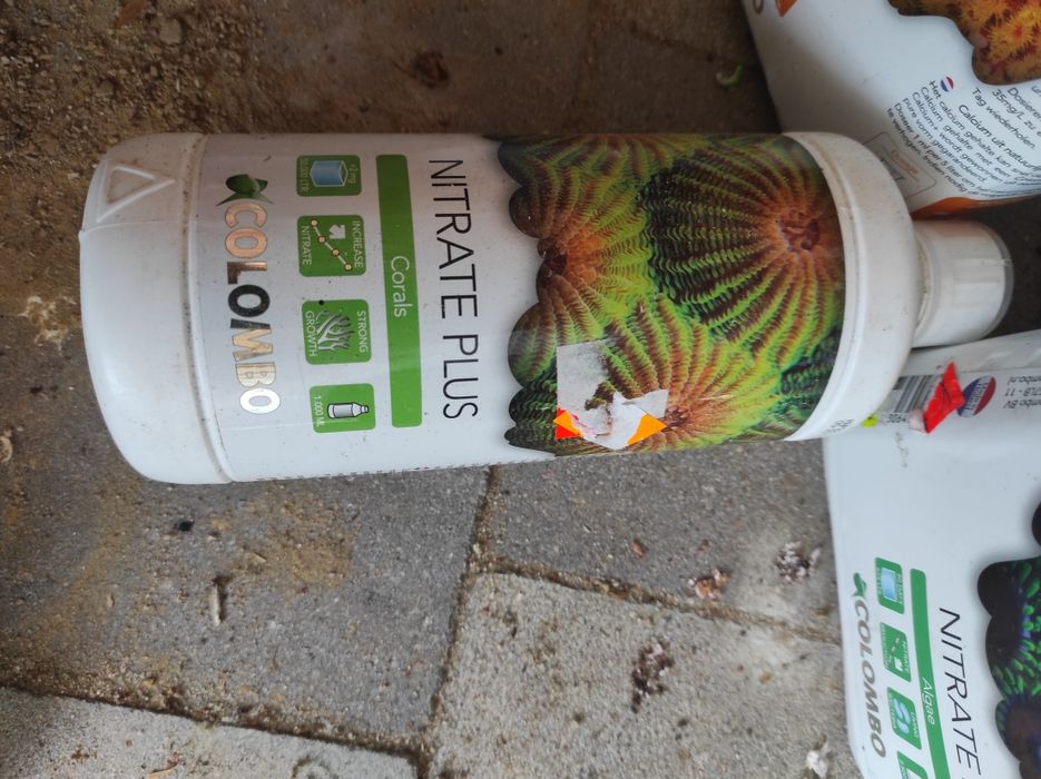 Colombo do akwarium morskiego