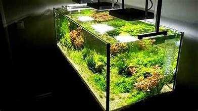 Fazendo aquários, vários trabalhos em vidro