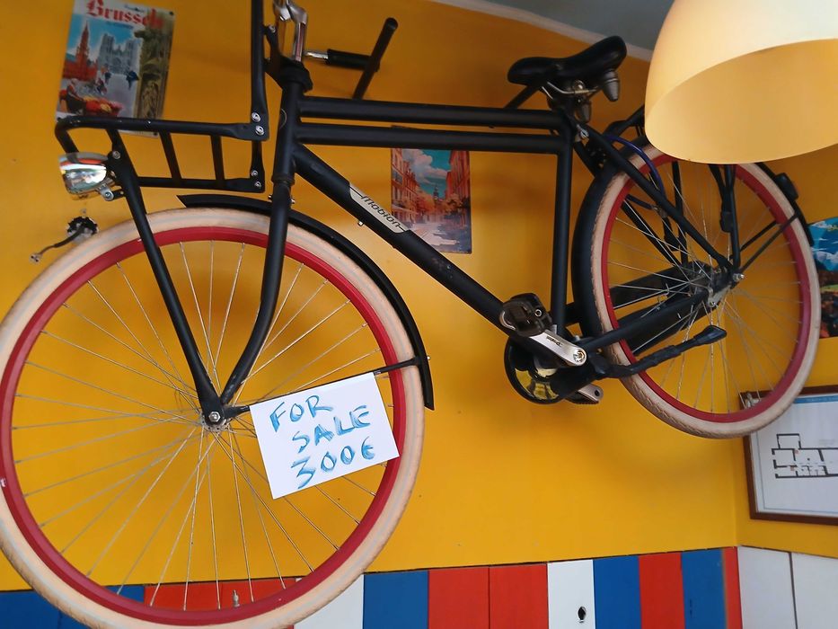 Bicicleta Holandesa