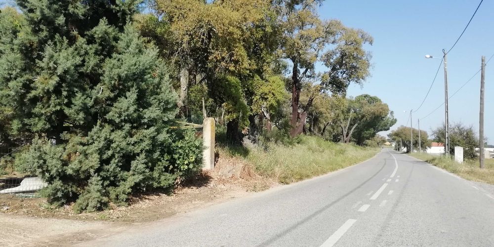 Terreno em Poceirão