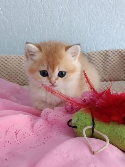 Шикарна дівчинка чекає маму