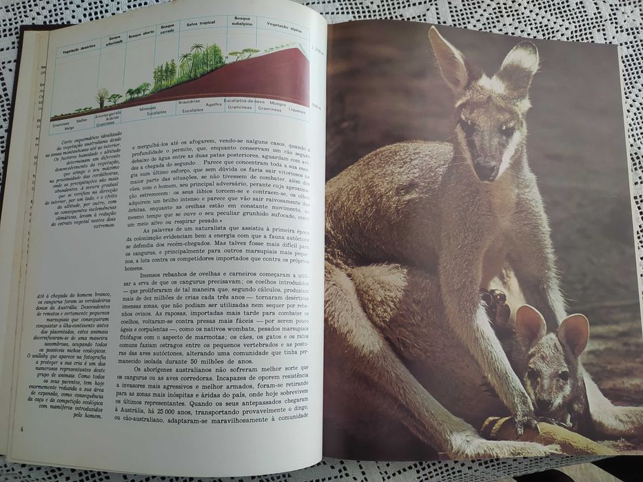 A Fauna: todos os fascículos encadernados