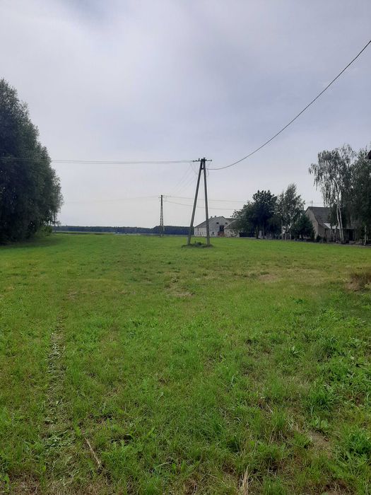 Sprzedam siedlisko blisko lasu.