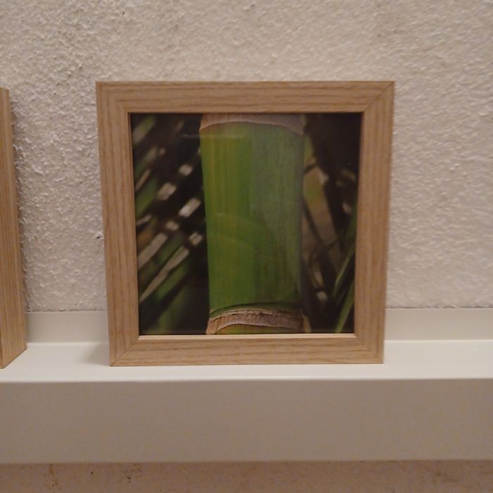 Molduras decorativas com estampas