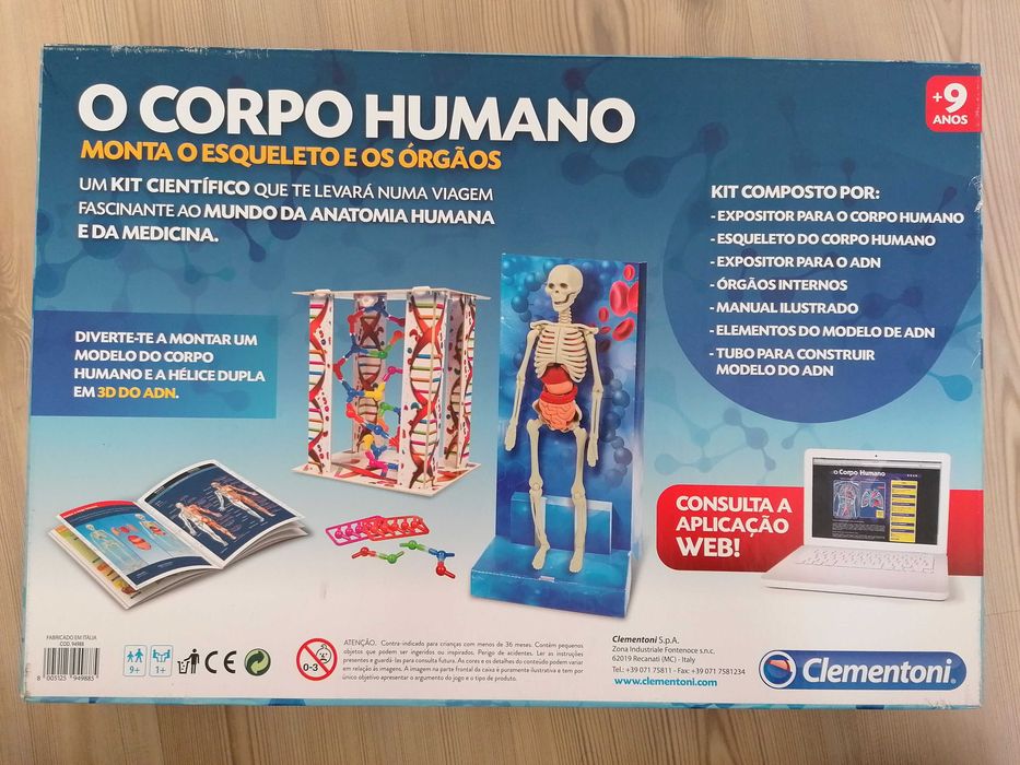 Puzzle didático do corpo humano