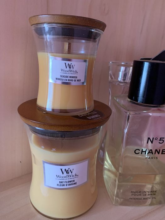 Свічки MediumFlower Seaside Mimosa США