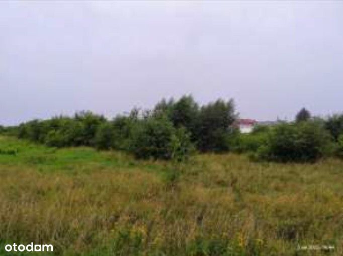 Udział w działce
