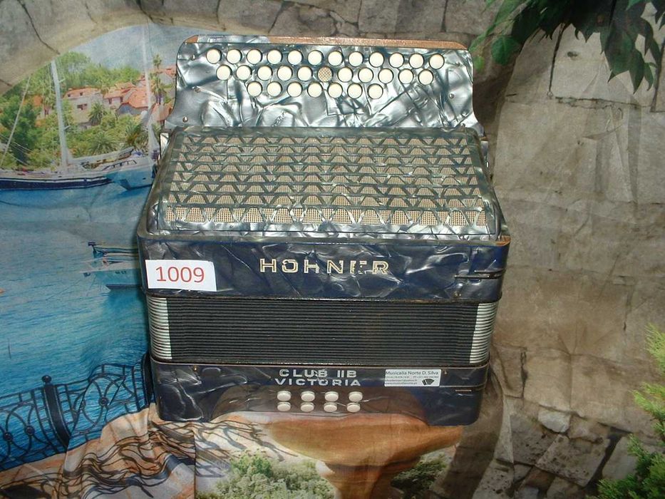 Promoção de Acordeões de concertinas