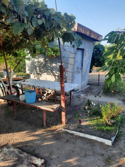 Дачный участок в кооперативе Металлург Раковка