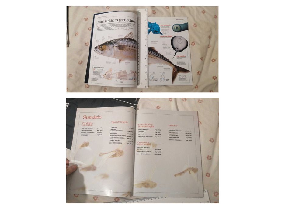 Enciclopédias de animais