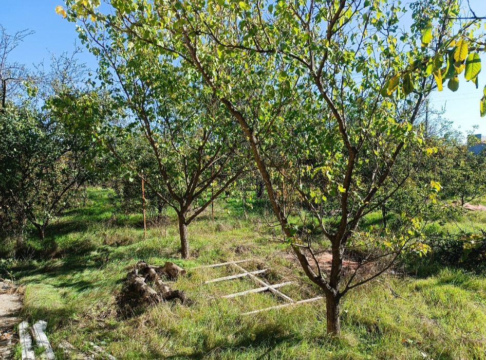 Дача лупарево бирюза