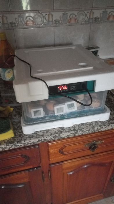 Chocadeira automatica ovos