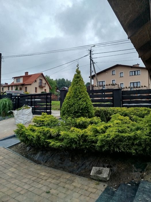 Usługi Ogrodnicze