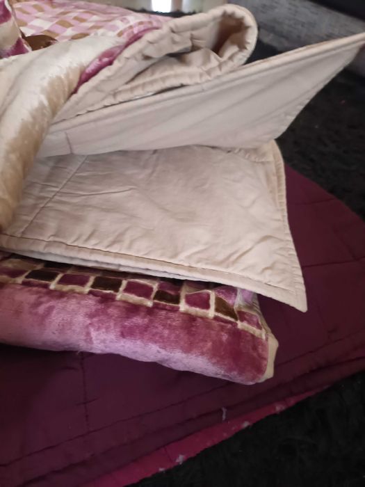 Conjunto de cama de casal+ cortinados do gato preto