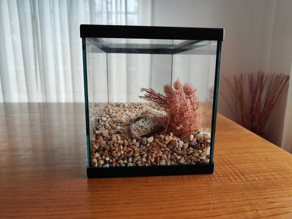 Aquario de 11L com decorações