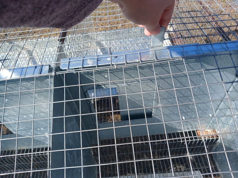 Продам маточну клітку для кролів