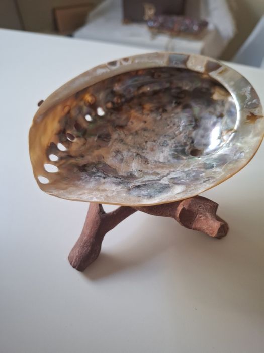 Concha Abalone com suporte de madeira