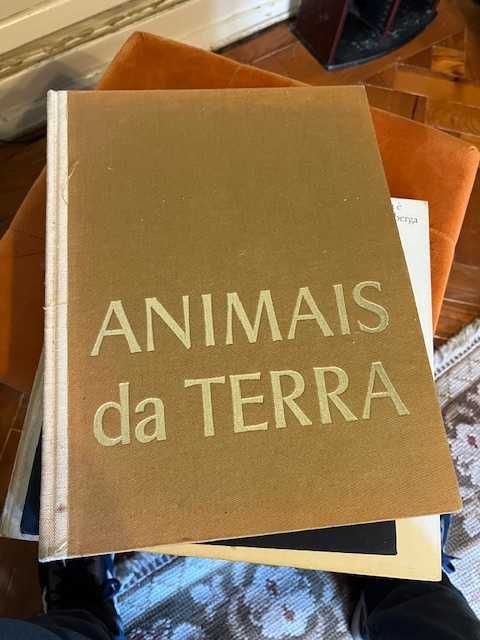 Animais da Terra