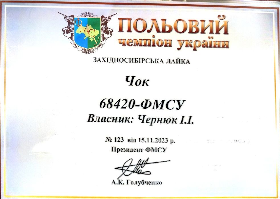 Кобель ЗСЛ (лайка) для в'язок