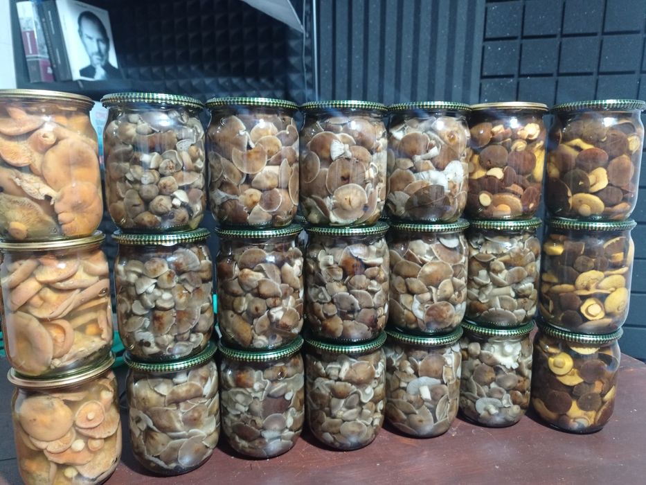 Мариновані опеньки