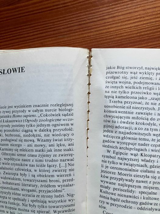 Przed i po dinozaurach Andrzej Trepka