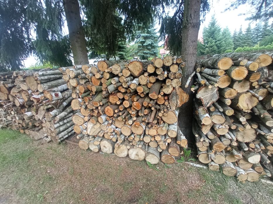 Drewno opałowe i kominkowe liściaste :brzoza, czeremcha, osika