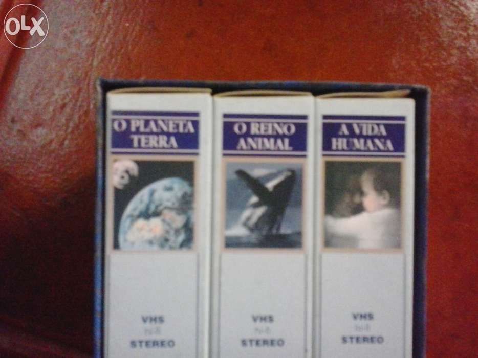 Colecções antigas de cassetes de vídeo VHS