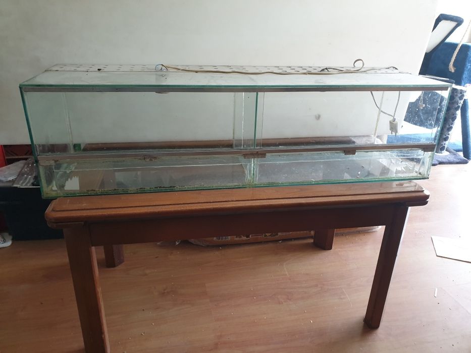 Terrario duplo em muito bom estado