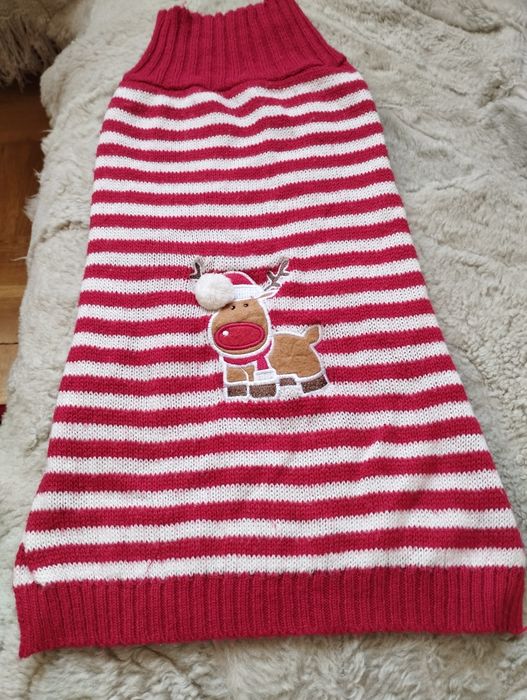 Одяг для собачки