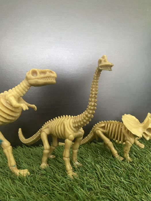 Dinosaur Skeletons64740415236865124