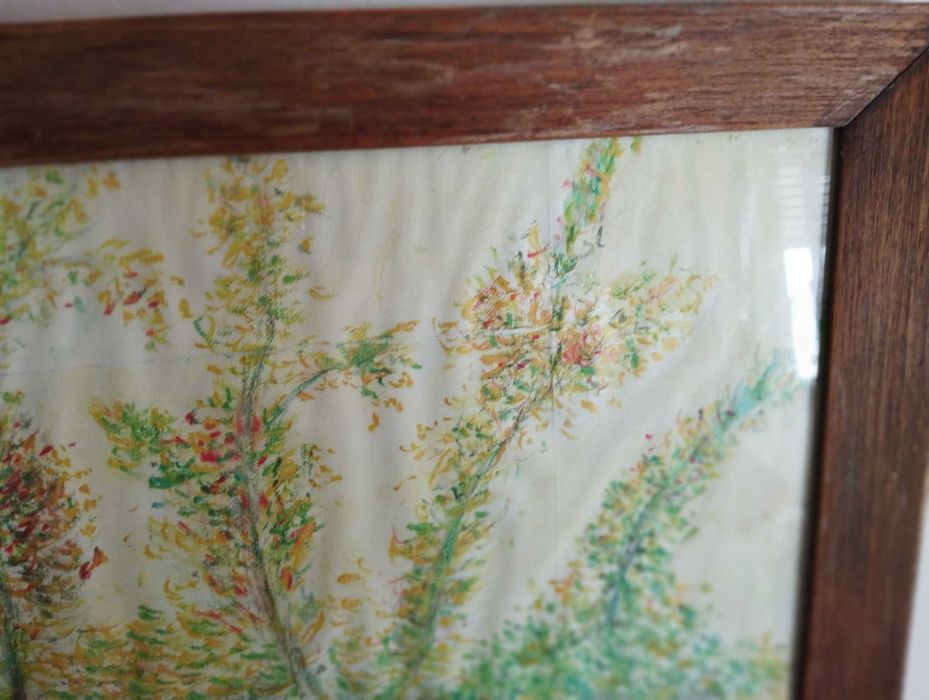 Desenho a lápis de cor quadro com moldura madeira e vidro
