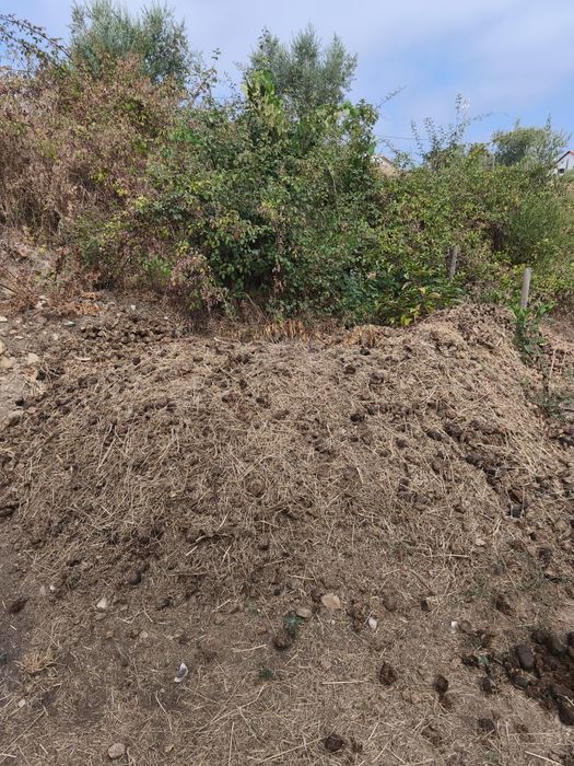 Estrume, leve o que conseguir