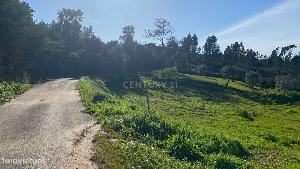 Terreno para construção – a 15 minutos de Tomar e do Entroncamento (Li