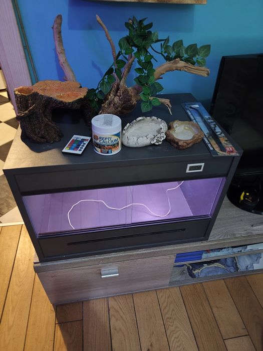 Terrarium z całym wyposażeniem
