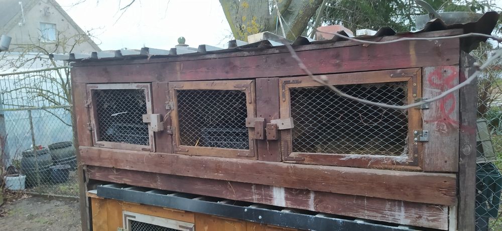 Klatki dla królików