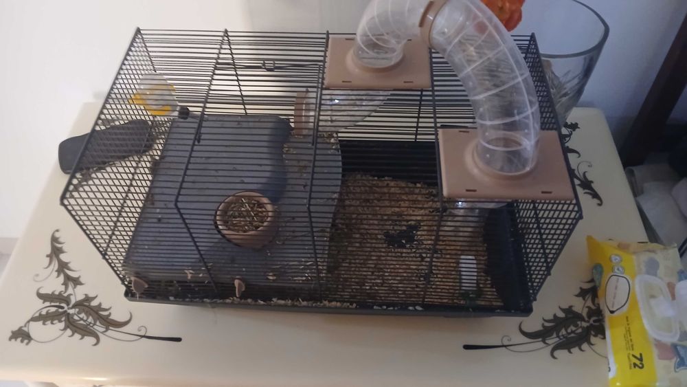 Gaiola completa com adereços para roedor