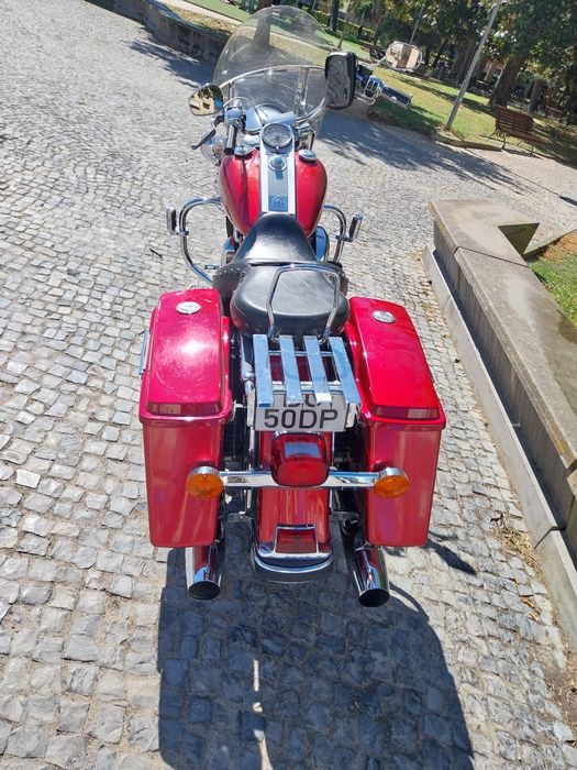 Road King vendo contrariado