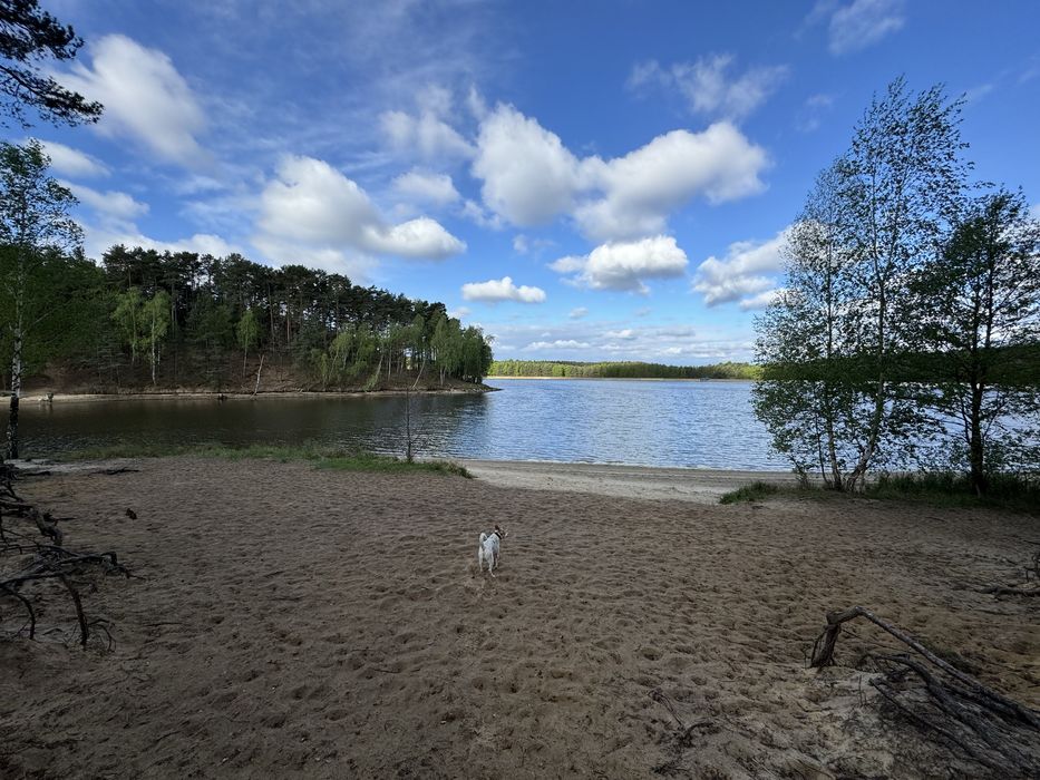 Domek drewniany z tarasem , 6 os. - Kobyla Góra