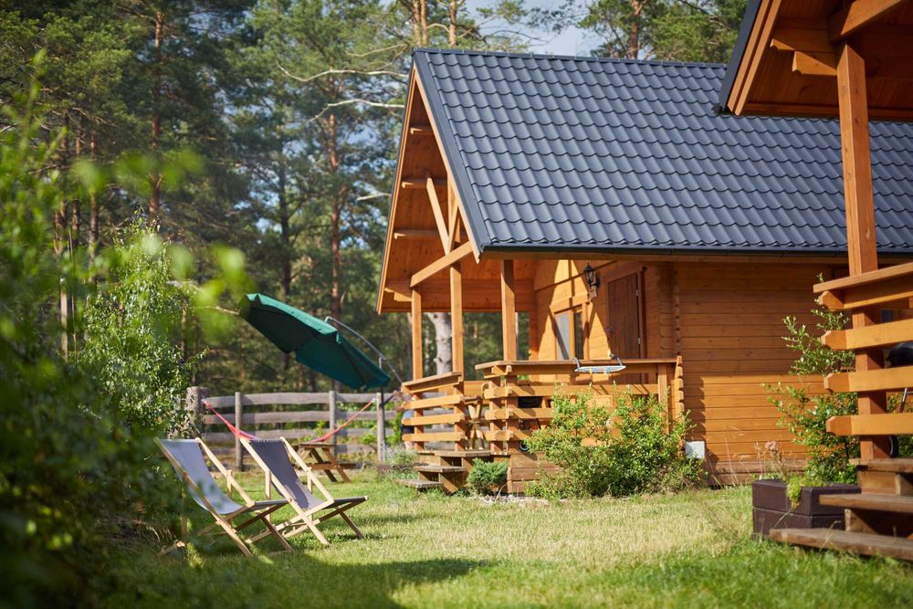 Oferta last minute- basen z podgrzewaną wodą, psy mile widziane, Leśne Runo Borsk