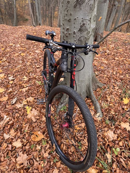 Cannondale Scalpel 29.