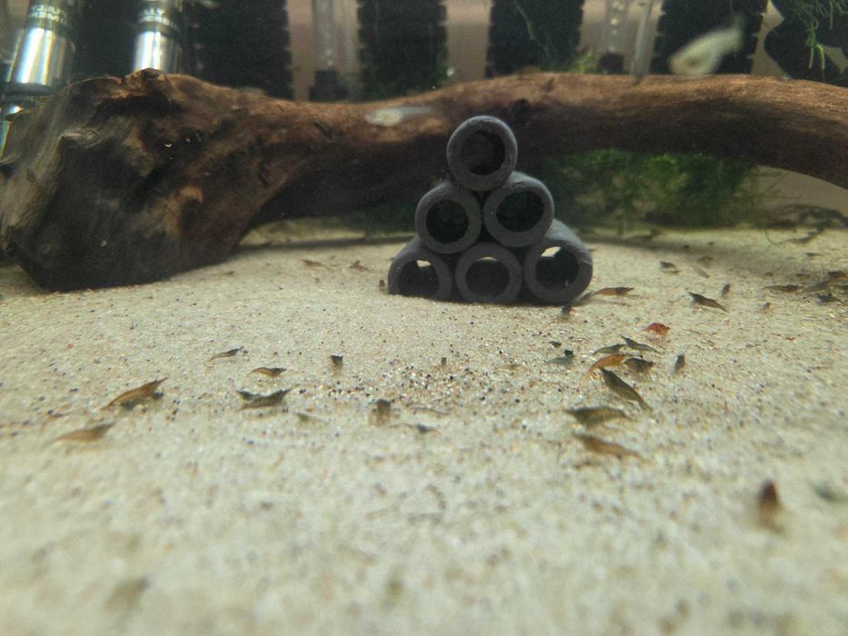 Krewetki poselekcyjne MIX