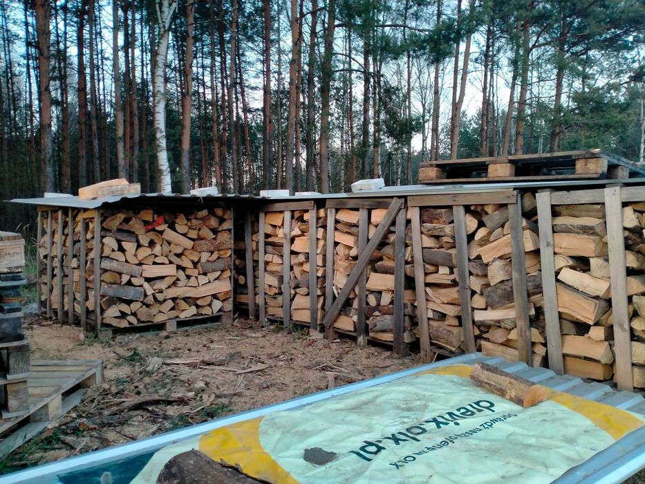 Drewno Kominkowe Sezonowane Opałowe Ostrzeszów Mikstat Ostrów W